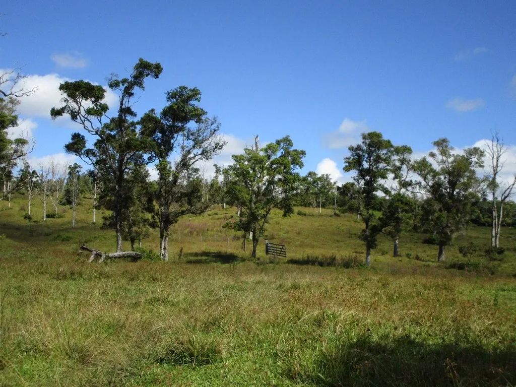 N/A, Pahoa