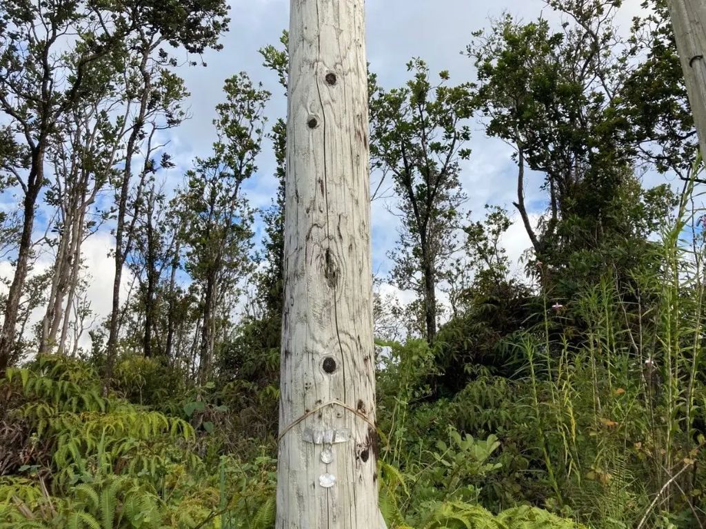 Ohialani Rd, Volcano