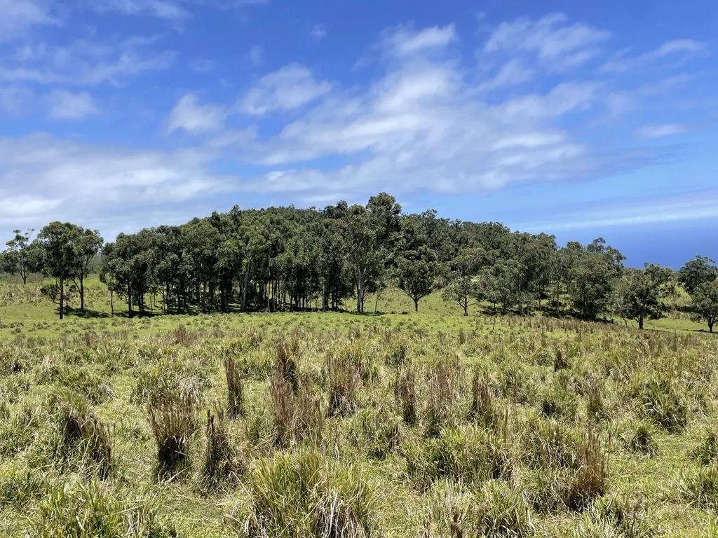 Kaalualu Rd, Naalehu
