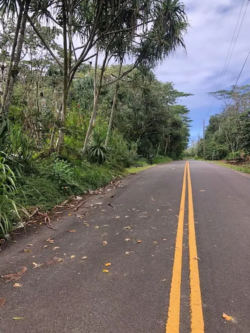 Puni Makai Loop, Pahoa