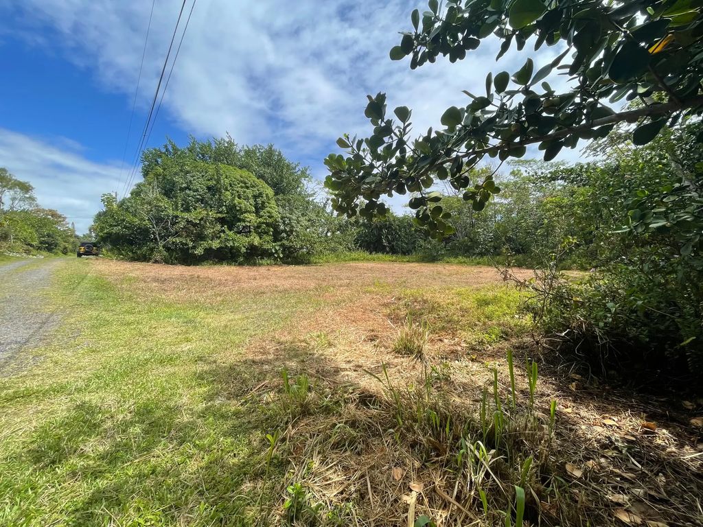 15-2005 2nd Ave, Keaau