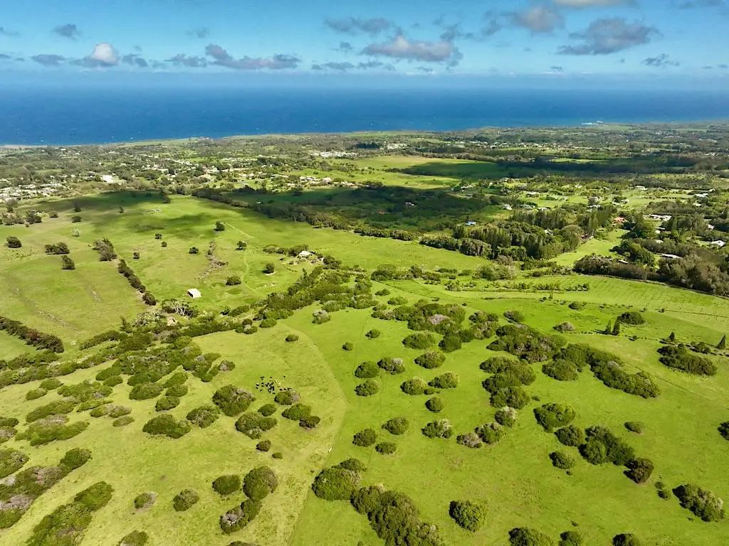 N/A, Hawi