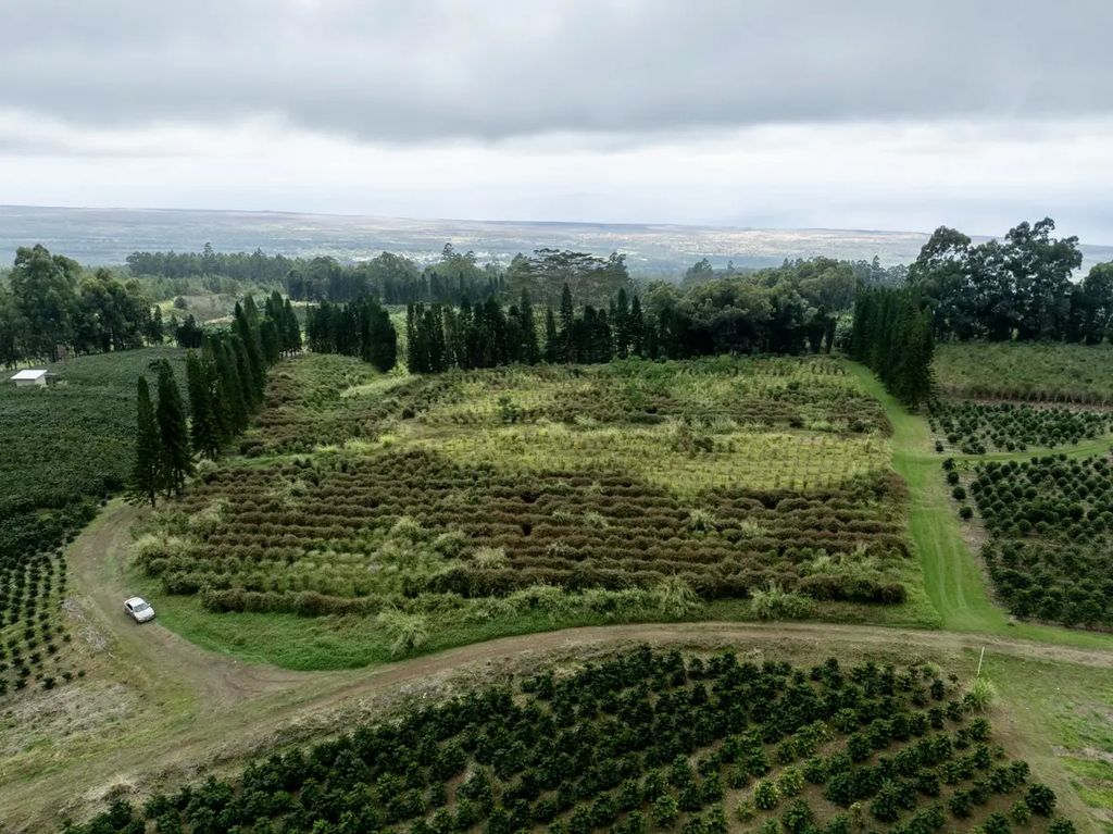 N/A, Pahala