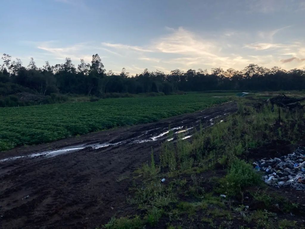 18-3931 Kopua Rd, Volcano