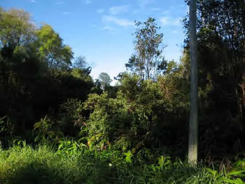 Volcano Rd, Volcano