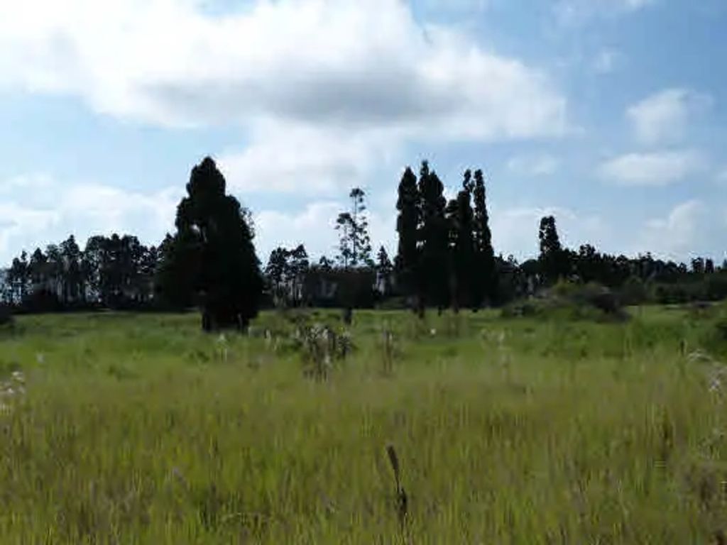 Volcano Hwy, Volcano