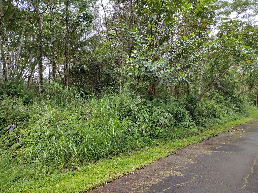 Church Rd, Pahoa