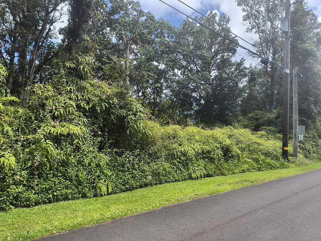 Maile St, Pahoa