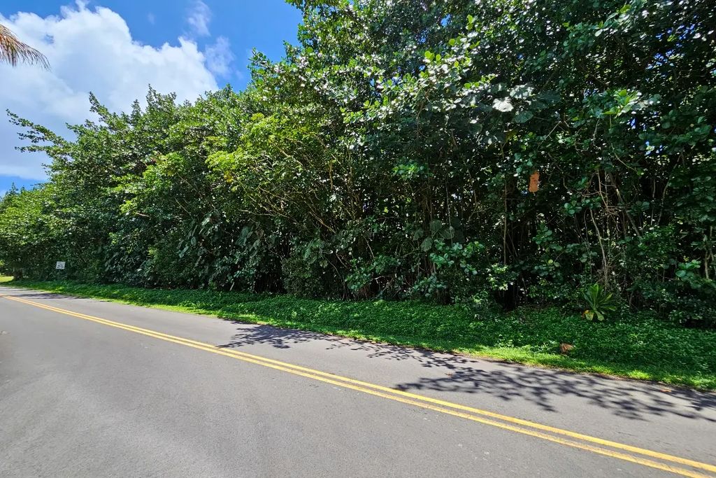 Papai St, Pahoa
