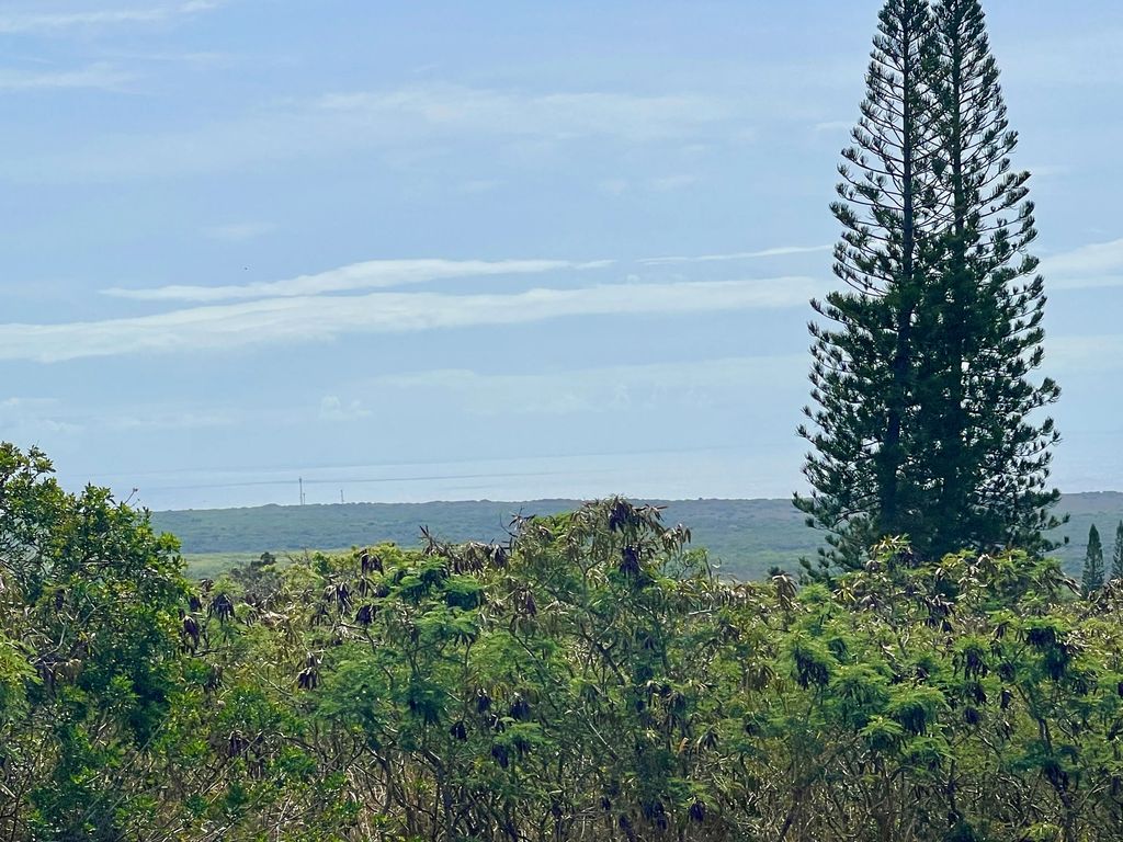 Hekau St, Naalehu