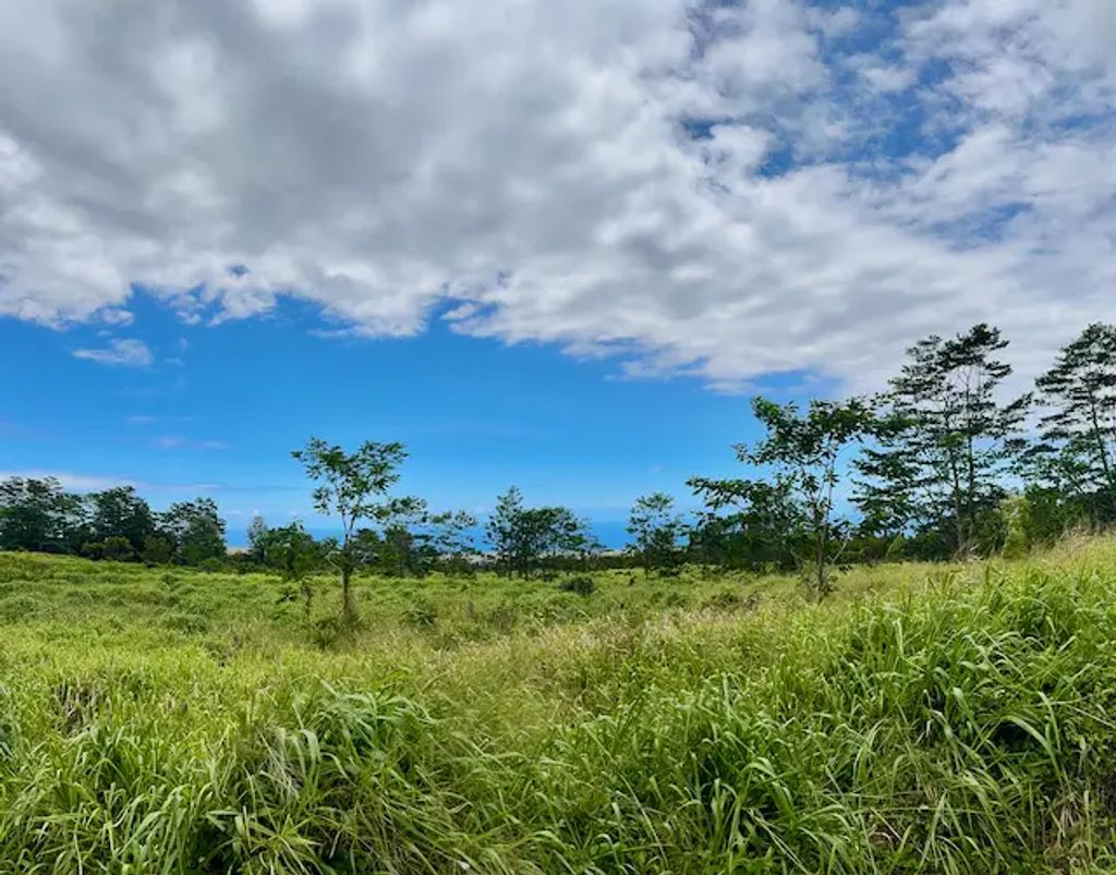 Meyer Rd, Pahala