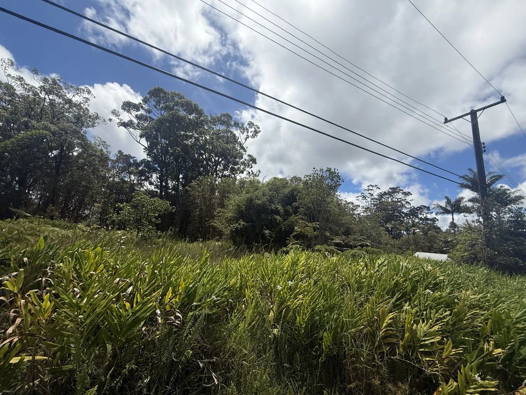 18-1977 Ohia Nani Rd, Volcano