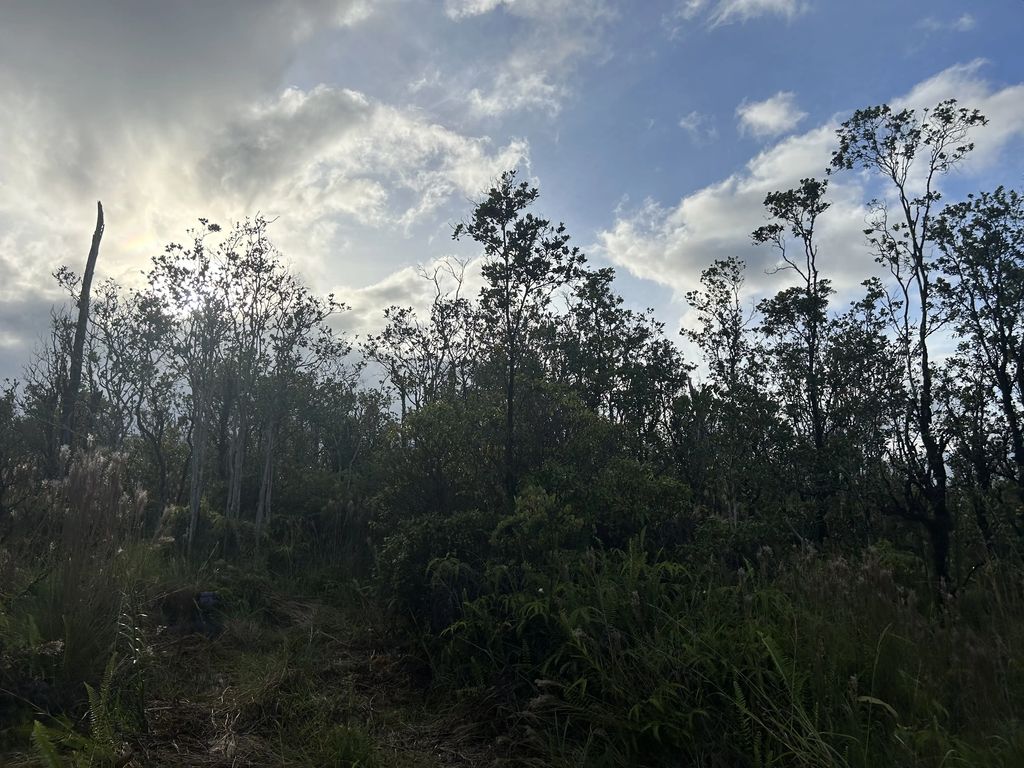 Mailenani Rd, Volcano