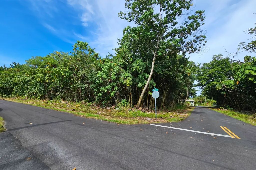 Papai St, Pahoa