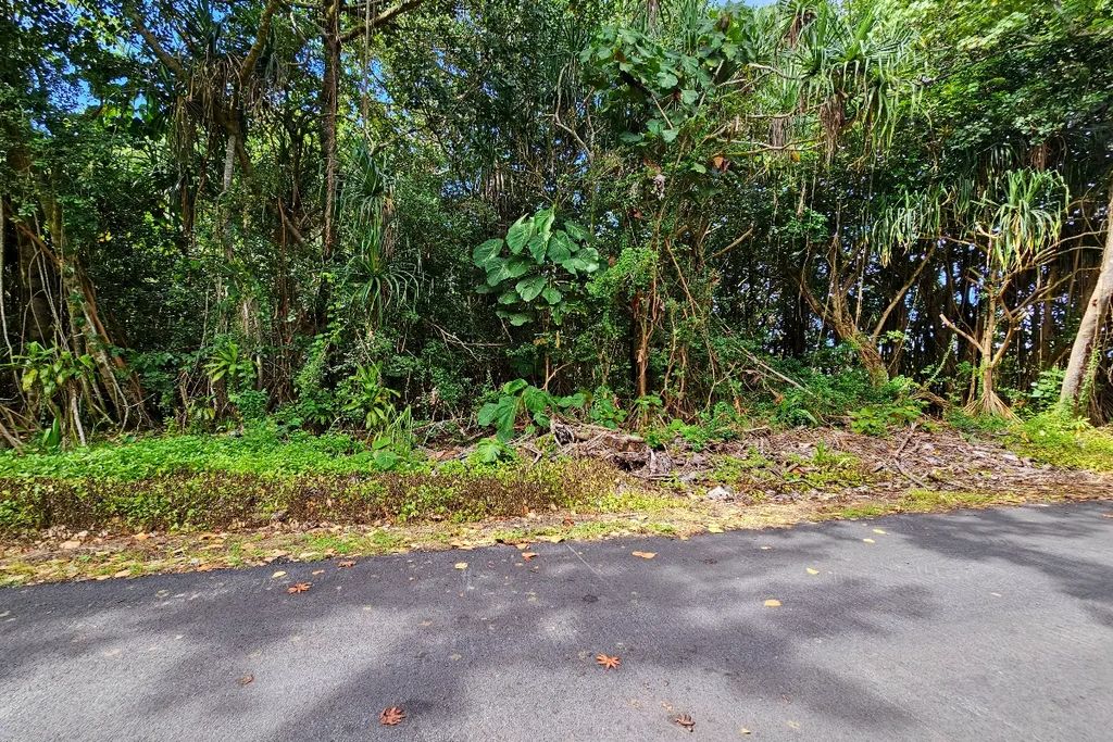 Puni Kahakai St, Pahoa