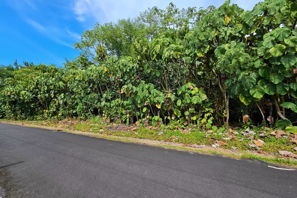 Papai St, Pahoa