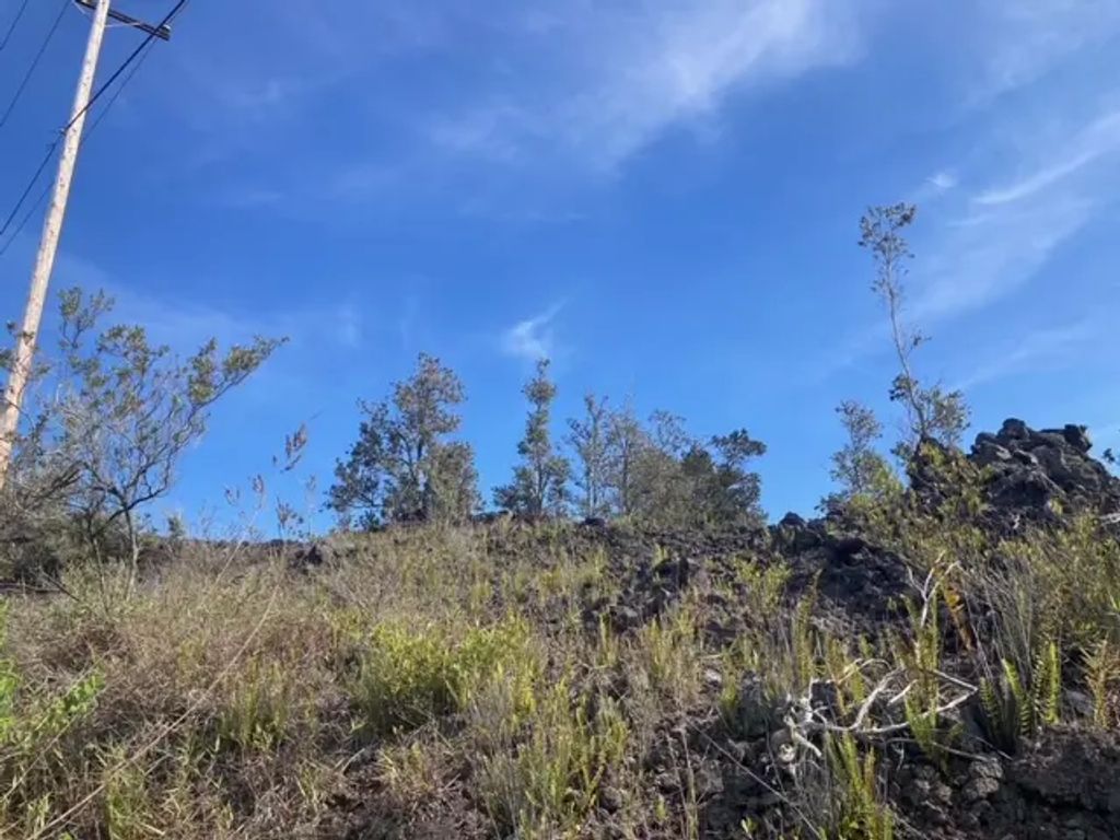 King Kamehameha Blvd, Ocean View