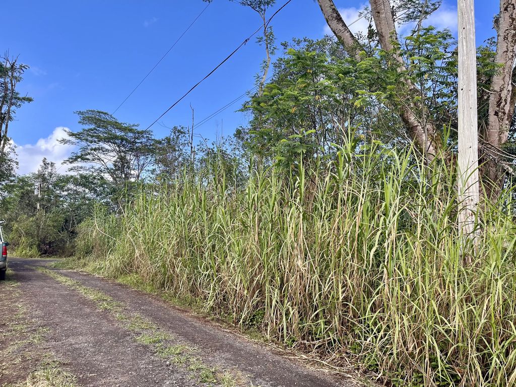 King Kamehameha Blvd, Kurtistown
