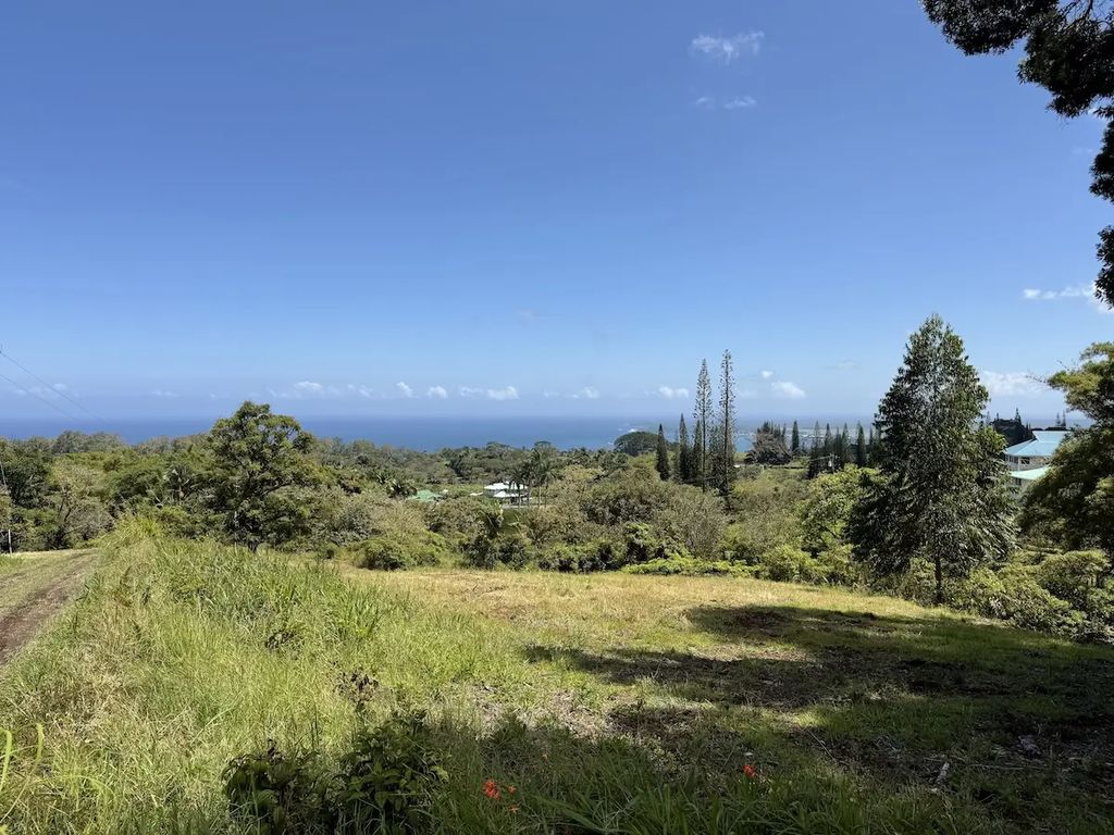 1951 Kaiwiki Rd, Hilo