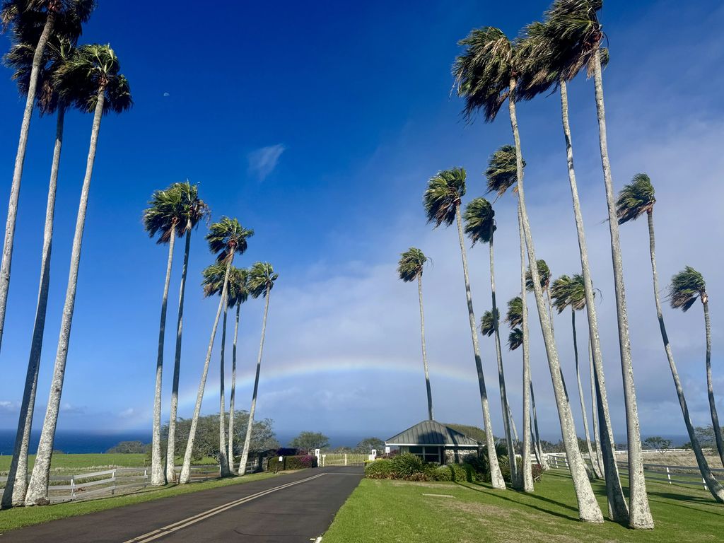 56-2891 Haleakala View Pl, Hawi