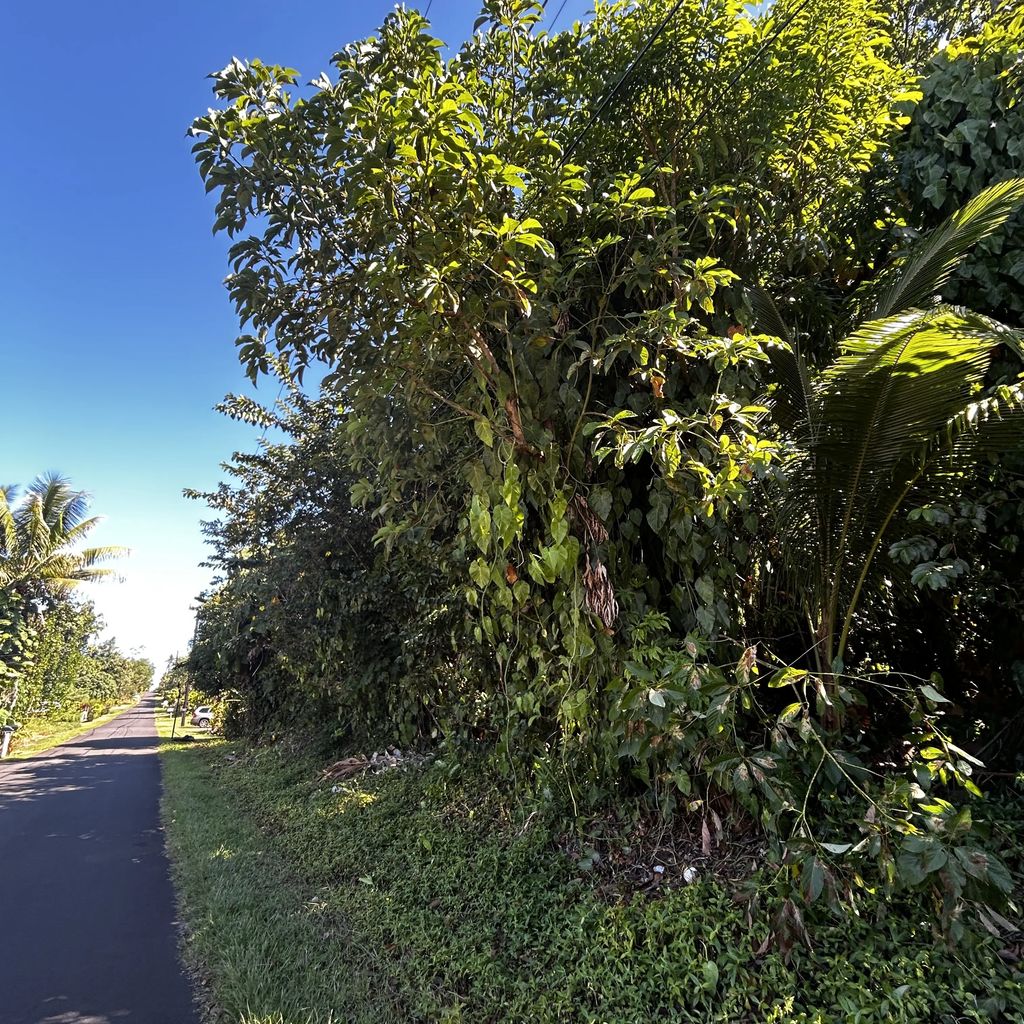 Opae St, Pahoa