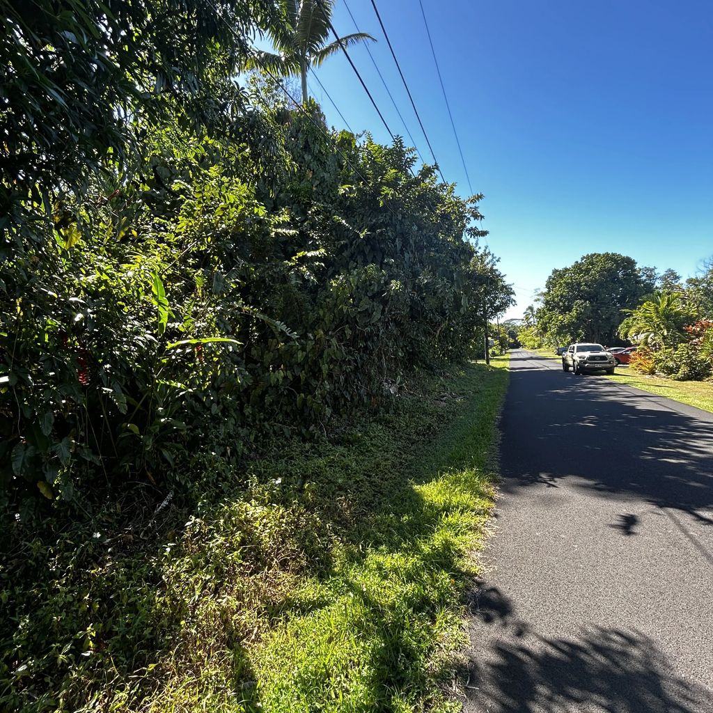 Opae St, Pahoa
