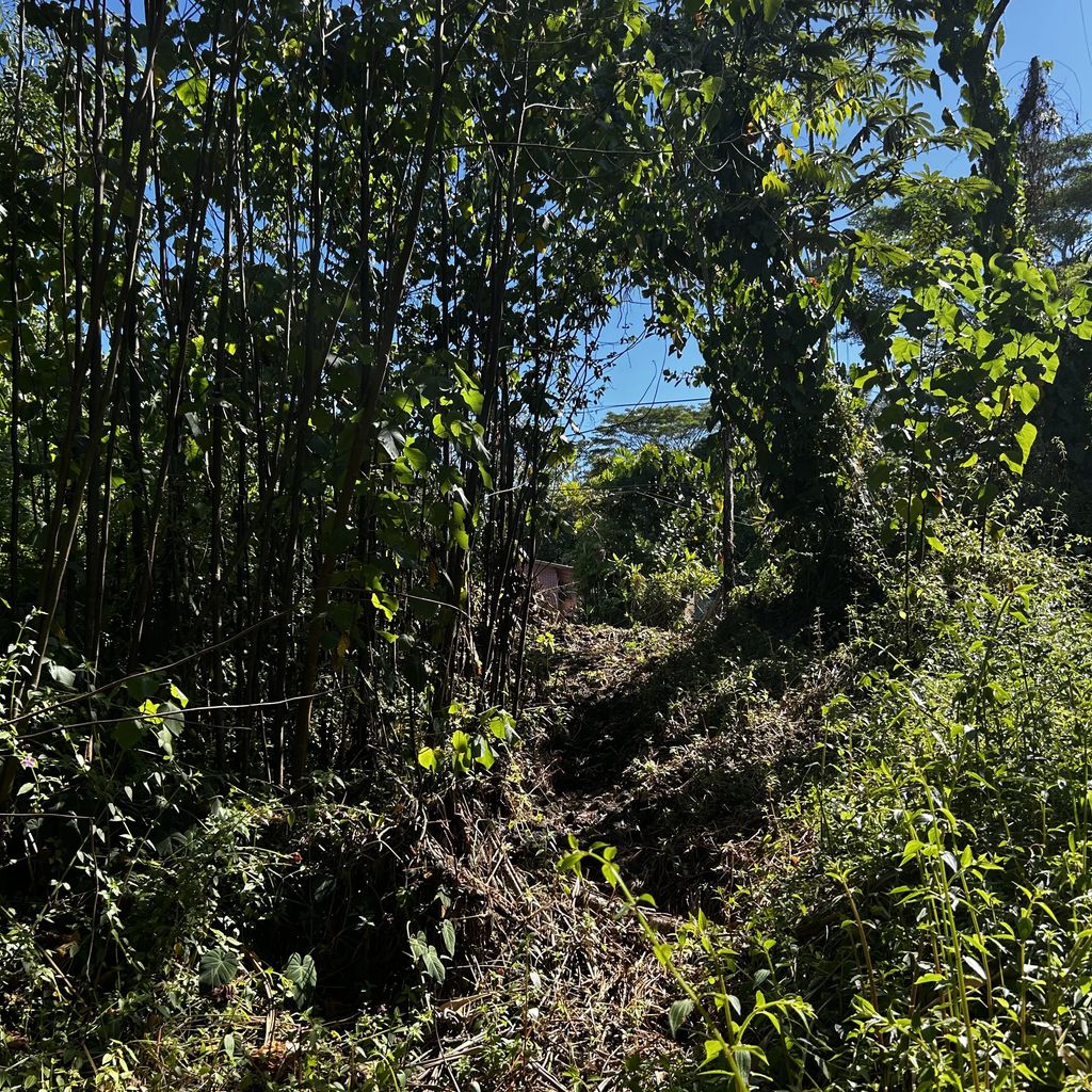 Oopu St, Pahoa
