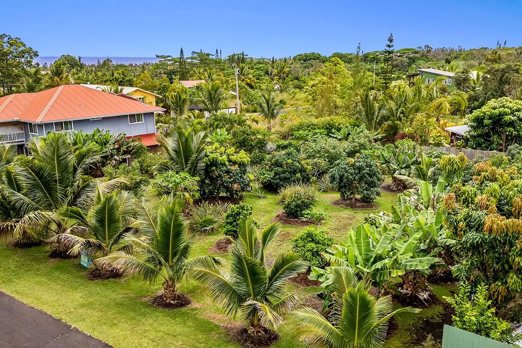 Mapuana Ave, Pahoa