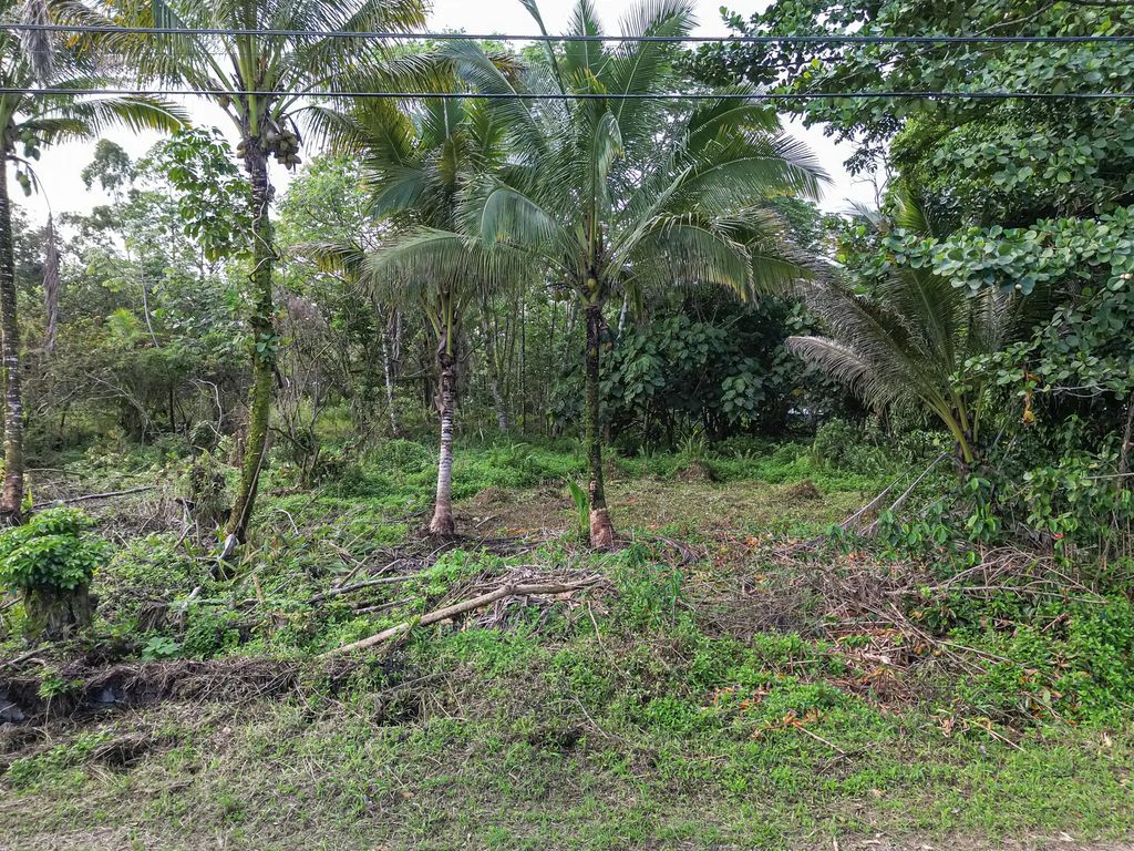 10th Ave, Keaau