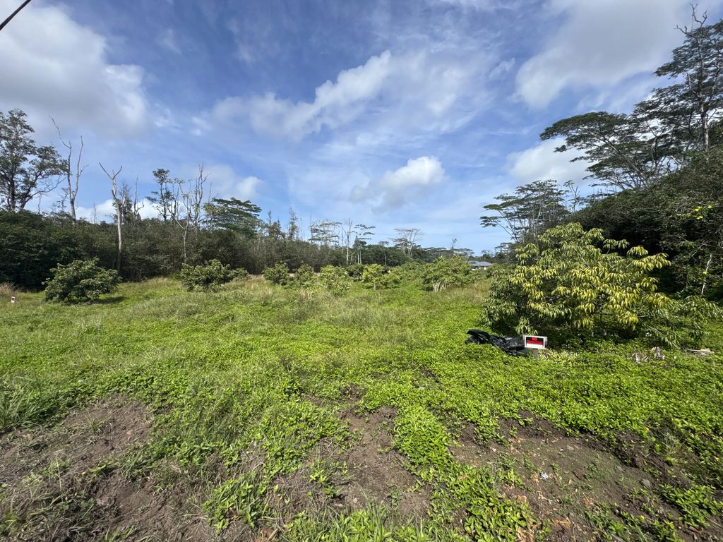 28th Ave, Keaau