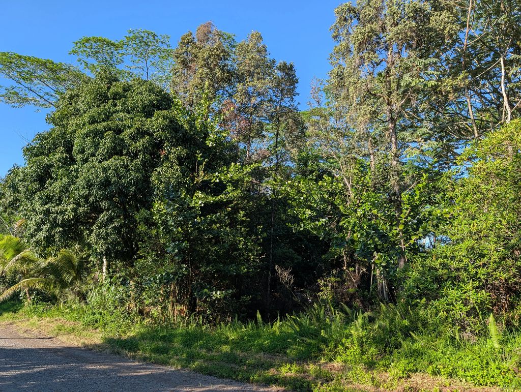 8th Ave, Keaau