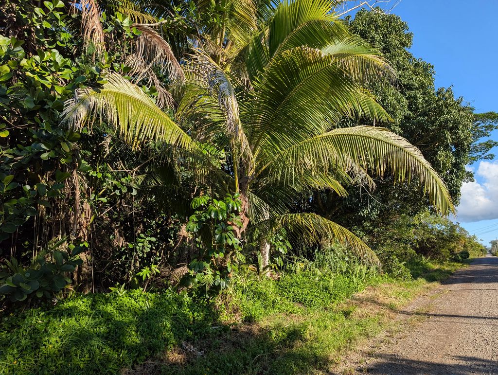 8th Ave, Keaau