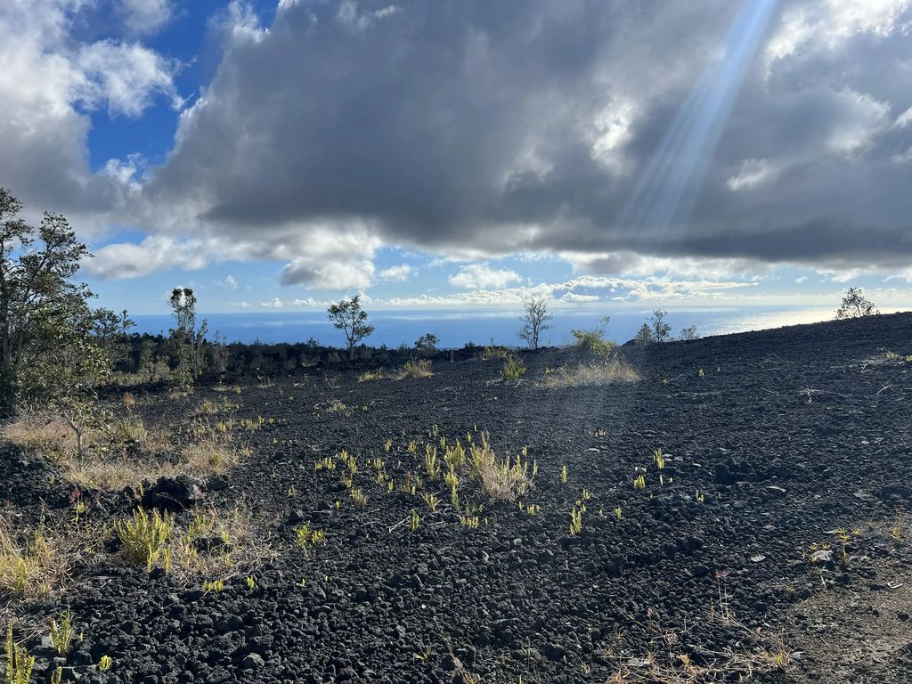 Lehua Ln, Ocean View