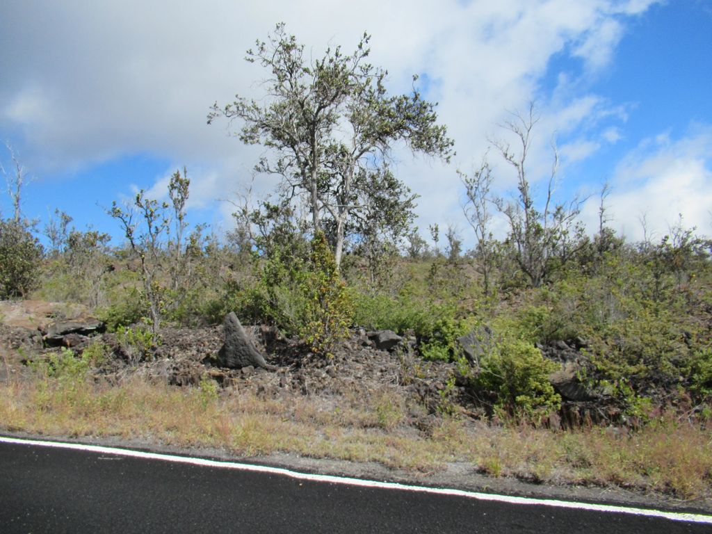 Pineapple  Pkwy, Ocean View