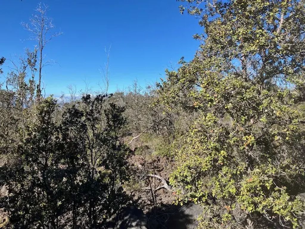 Koa Ln, Ocean View