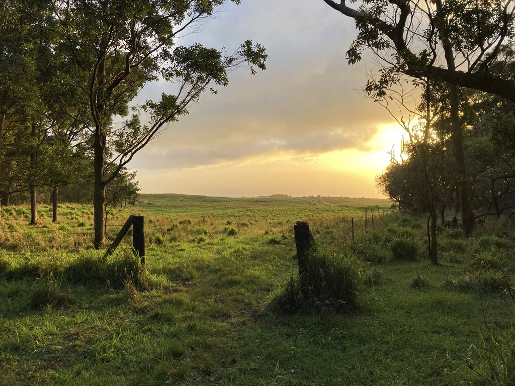 95-3970 Halemauna Road, Naalehu