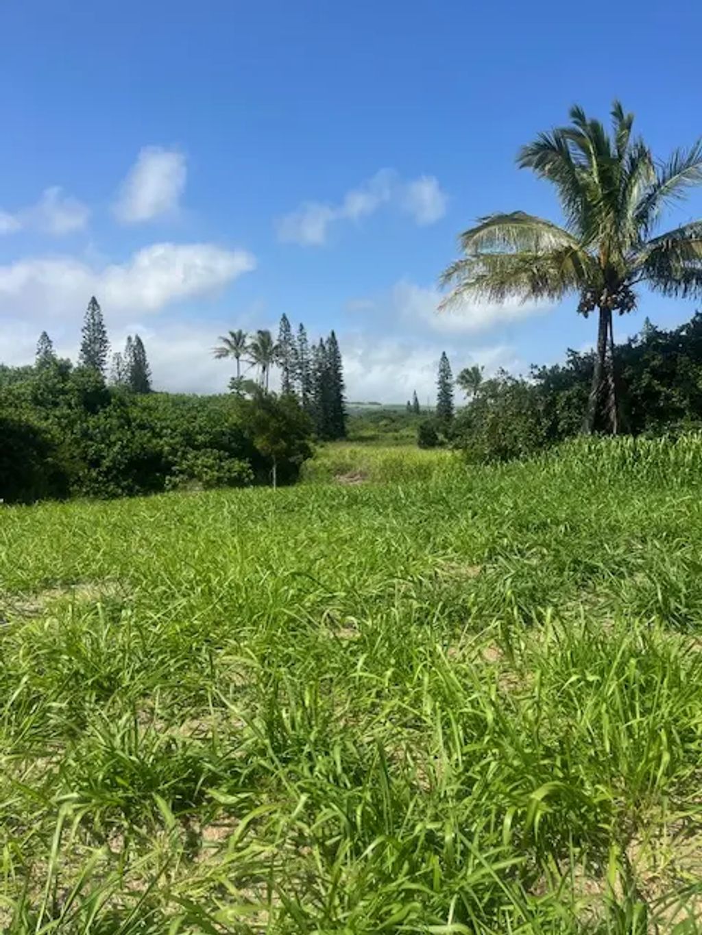 Kanaloa Pl, Naalehu