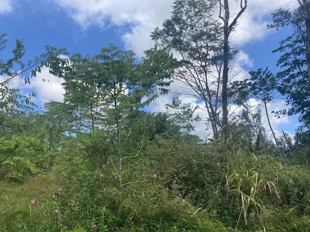 14-3479 Shell Rd, Pahoa