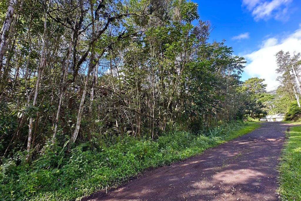 Dolphin Ln, Pahoa