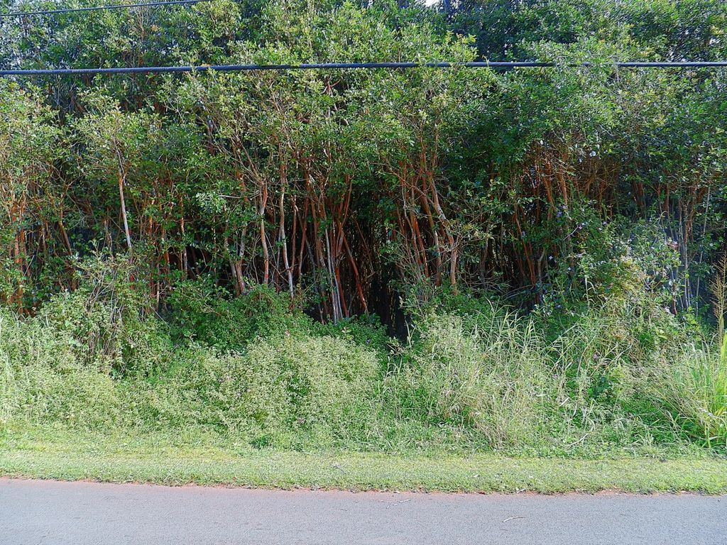 Diamond Head Rd, Pahoa