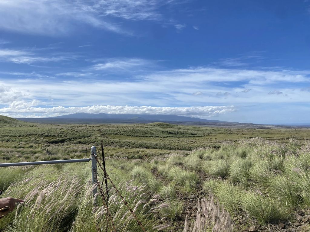 N/A, Kamuela