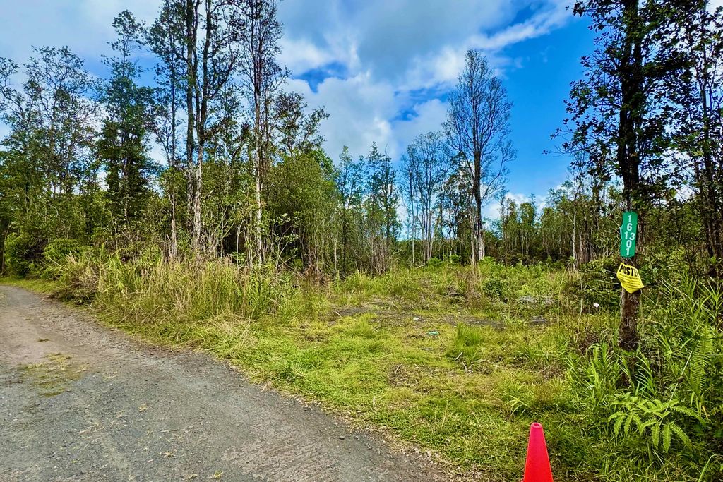 16-1301 Road 3 (hopue), Kurtistown