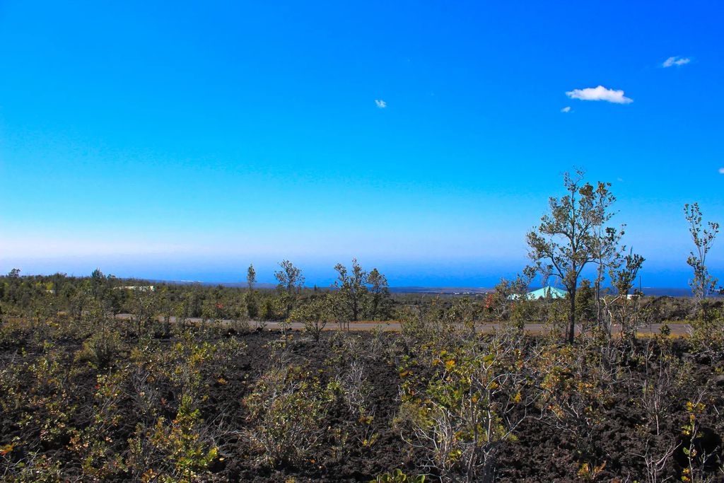 Orchid Pkwy, Ocean View