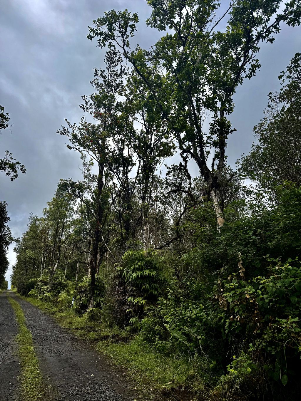 Road 9, Mountain View