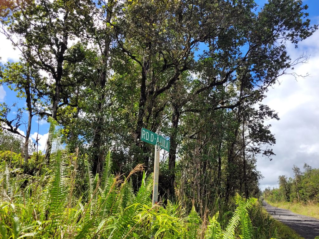 Road 5 (uau), Kurtistown