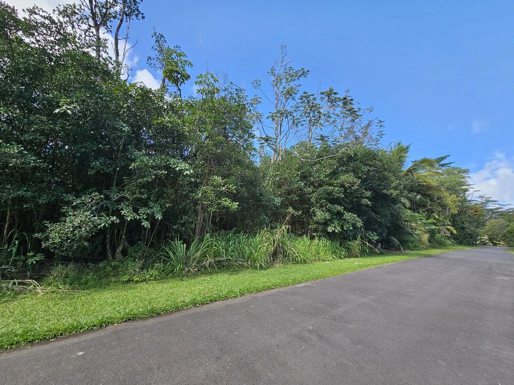 Hinalea St, Pahoa