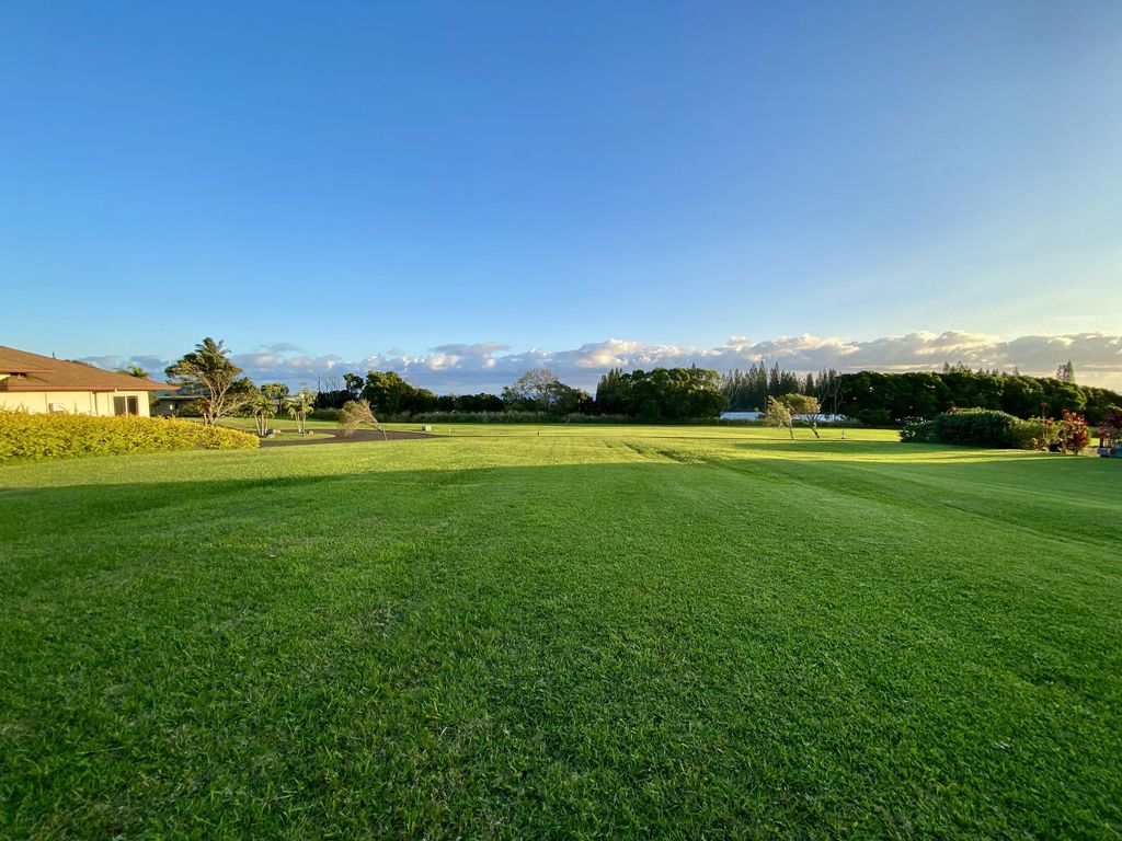 54-3706 Lehuula Circle, Kapaau