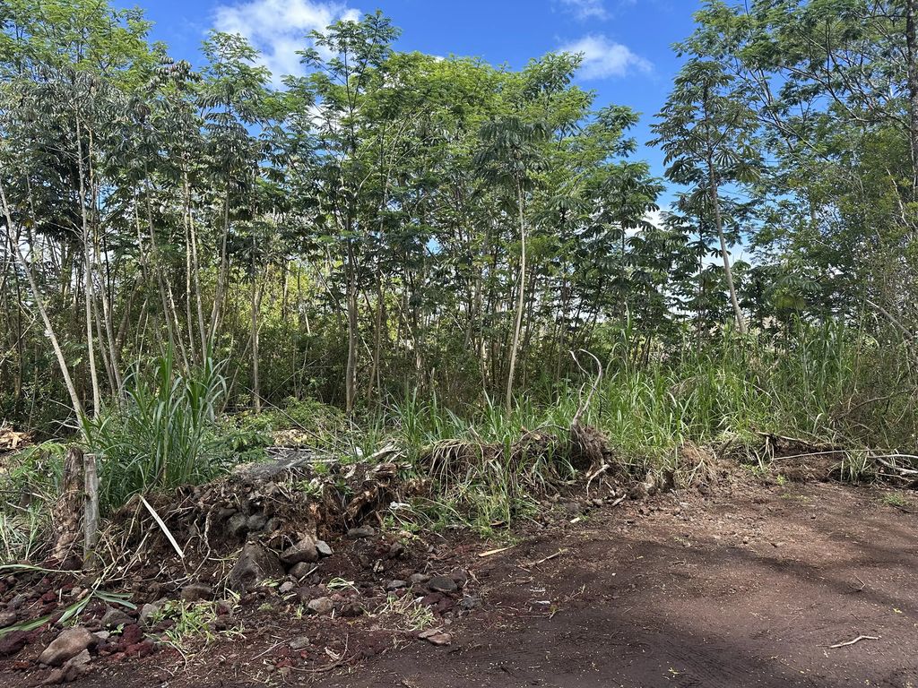 King Kamehameha Blvd, Keaau