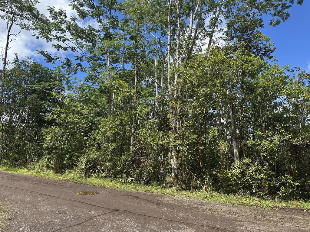 King Kamehameha Blvd, Keaau