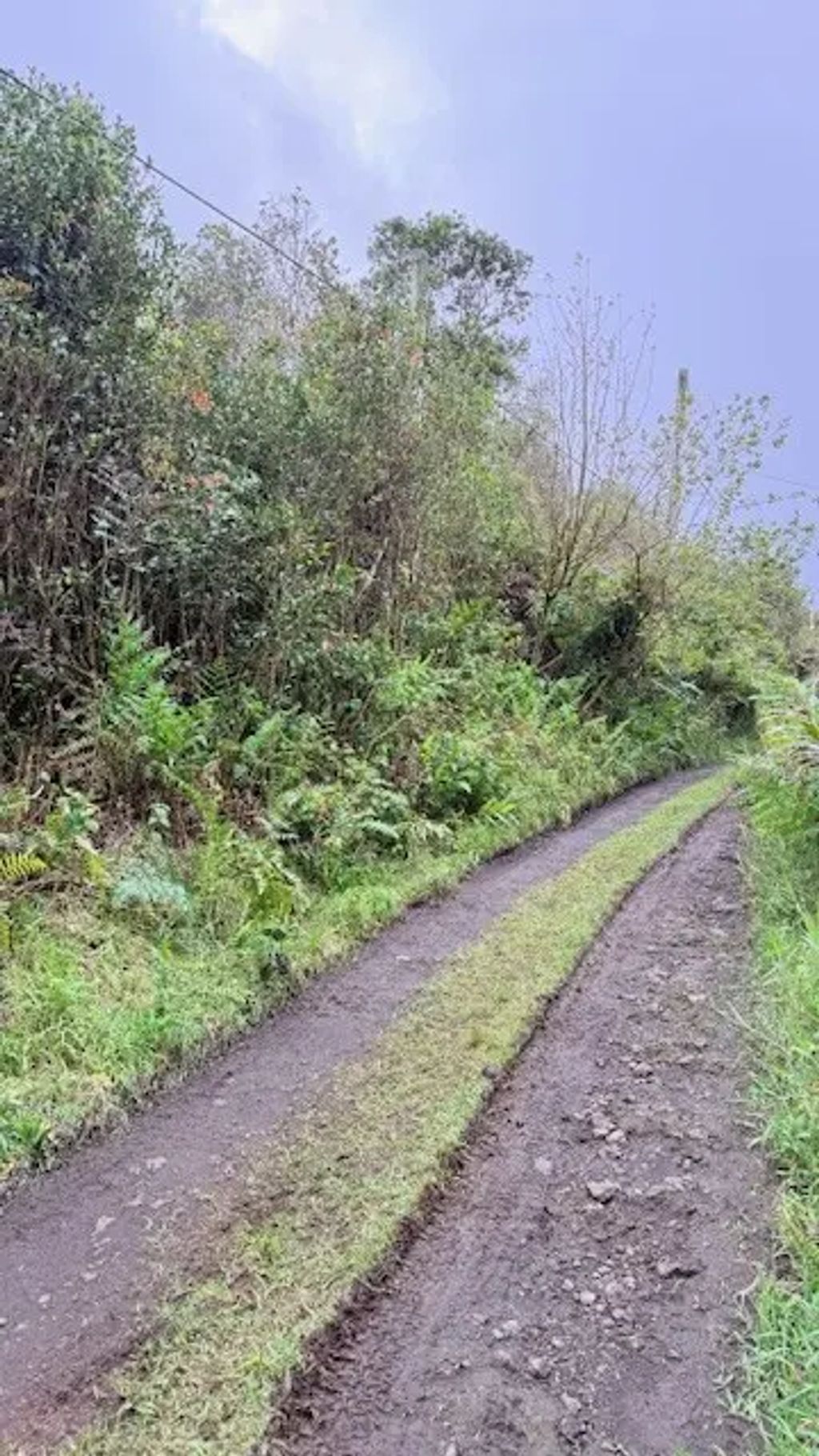 Oahu St, Mountain View